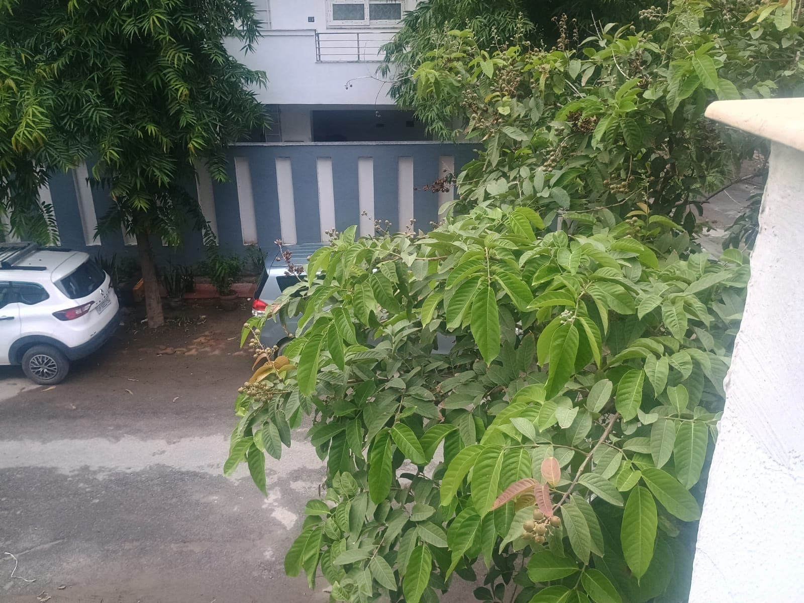 Plot For Sale In Noida