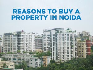 when is the best time to purchase a commercial property in Noida